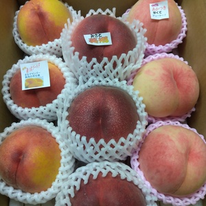 なんでも送っちゃえ桃！＜＜ビックリ( ﾟДﾟ)BOX＞＞家庭用