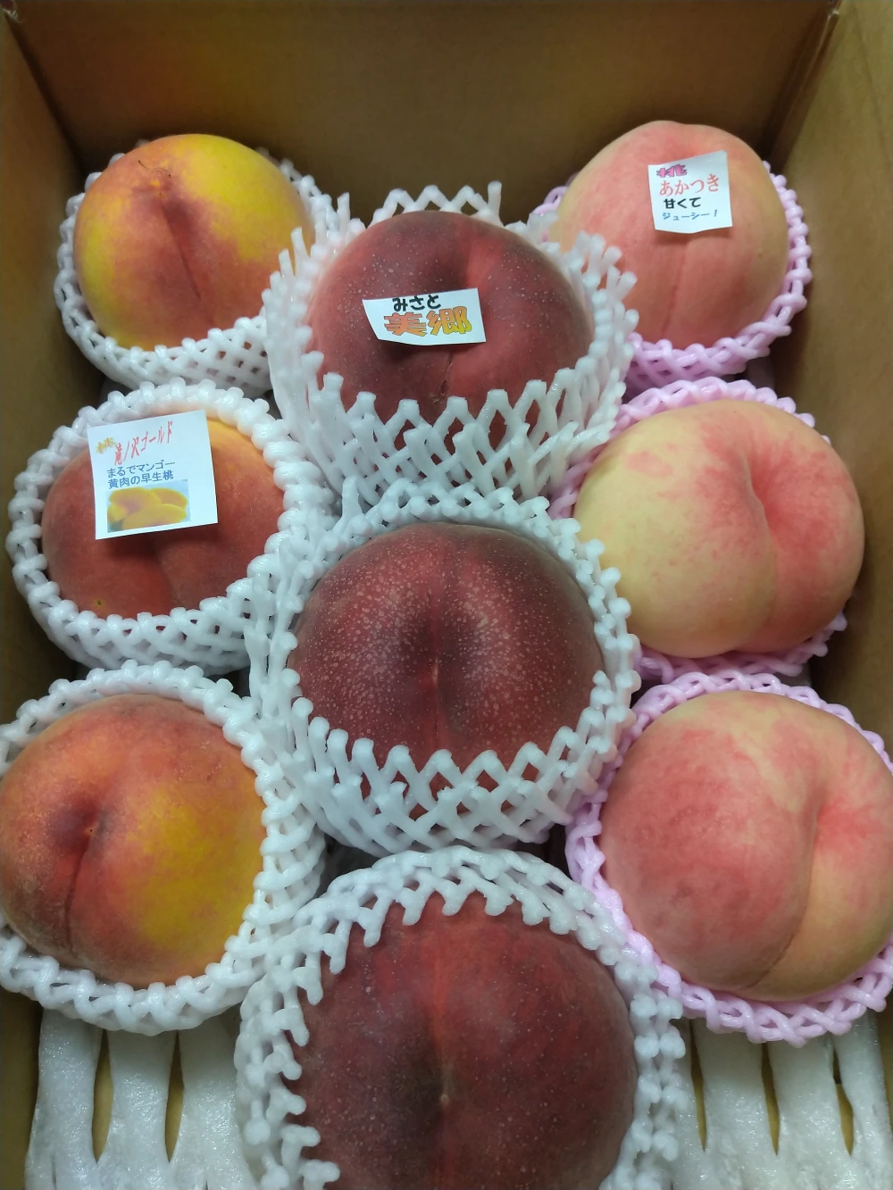 なんでも送っちゃえ　桃！＜＜ビックリ( ﾟДﾟ)BOX＞＞中生品種　家庭用 