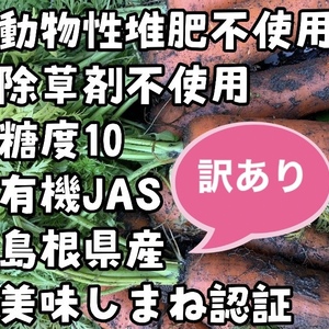 【有機JAS人参】オーガニック【訳あり2kg】動物性堆肥不使用