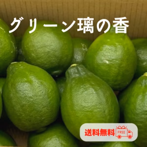 訳なし！グリーン璃の香（りのか）【2㎏・5㎏・10㎏】