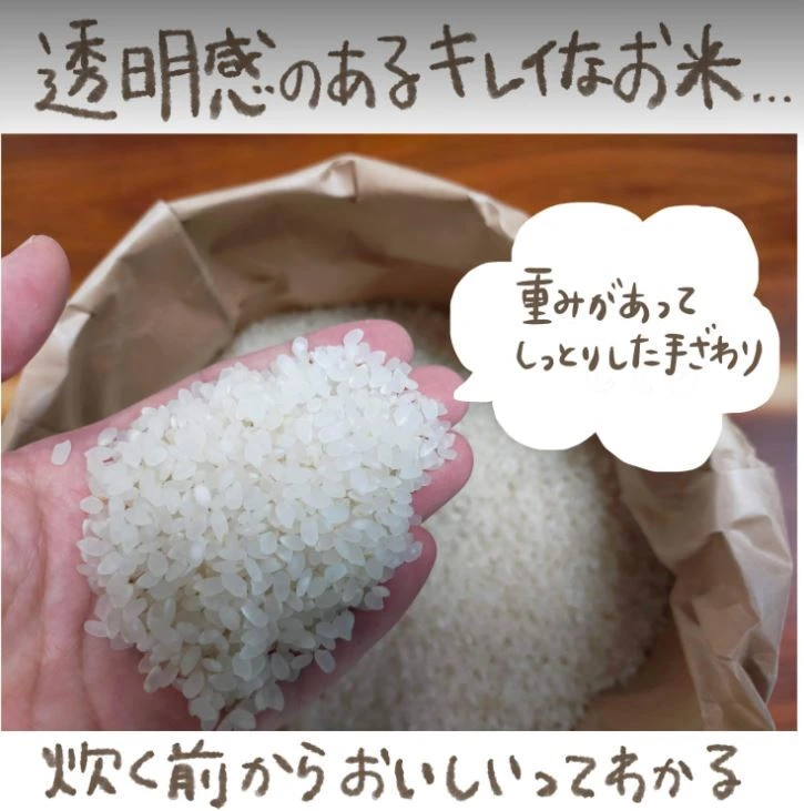 R4年産　油かすなど有機肥料60％施肥で好食味の特別栽培米コシヒカリ玄米10ｋｇ