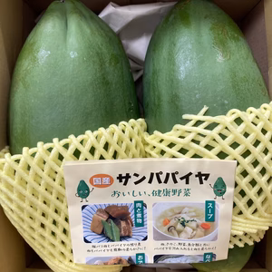 【ブランド品種／信州産／無農薬】サンパパイヤ×2個