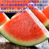 種のない(少ない)甘～い大玉ブラックジャック 2~3L  1玉 尾花沢すいか 