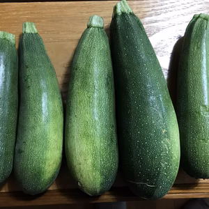 ズッキーニ5本【農薬、化学肥料不使用】