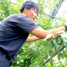 橋本裕介