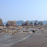 ちゃんばわんば