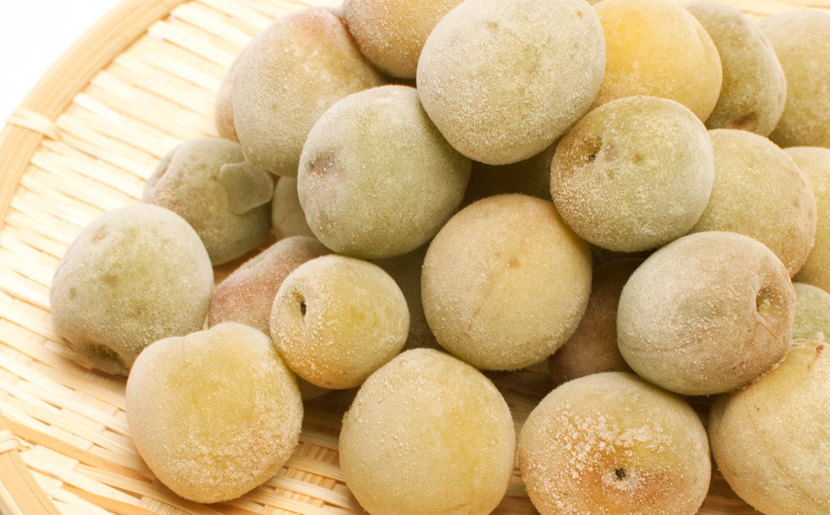 青梅の産直通販・お取り寄せ商品｜ポケットマルシェ｜産地直送で