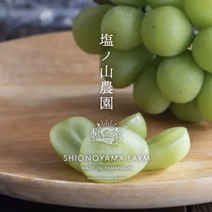 【2L/2房】まろやかな甘みと高貴な香り！山梨県産シャインマスカット2房