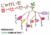 【超多品目栽培】※新じゃがいも※食べ合わせ特典つき(数量限定)
