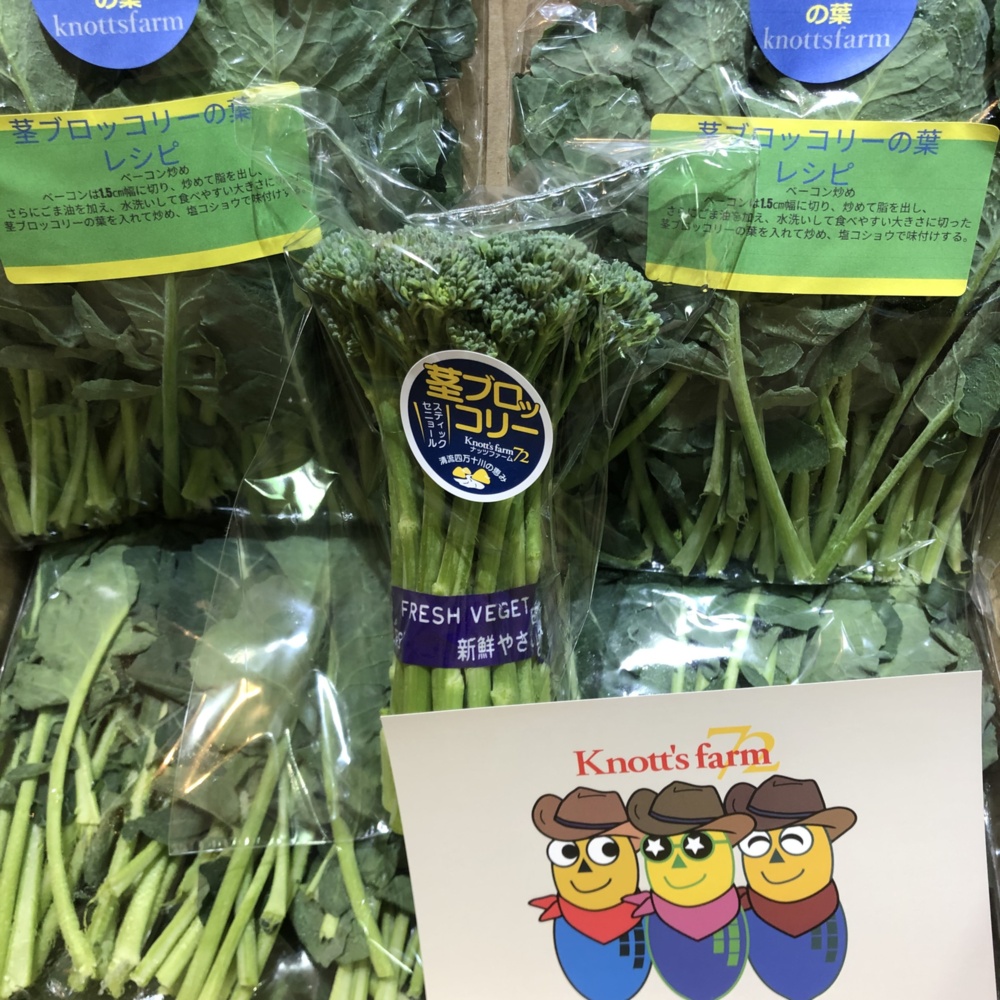 朝採り野菜 茎ブロッコリーの葉 600g 無農薬 ナッツファーム 農家漁師直送のポケットマルシェ