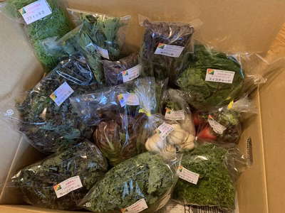 みんなの投稿の画像