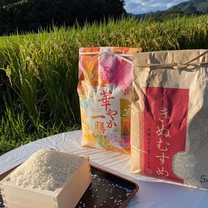 令和4年度産新米　11月上旬発送　減農栽培食べ比べ（へアリーベッジ米）　※精米