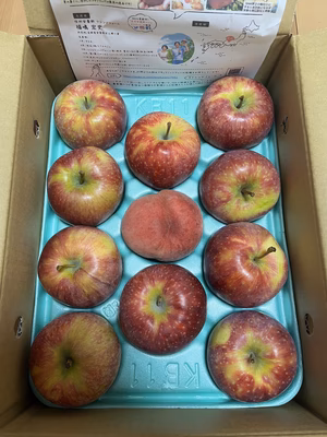 みんなの投稿の画像