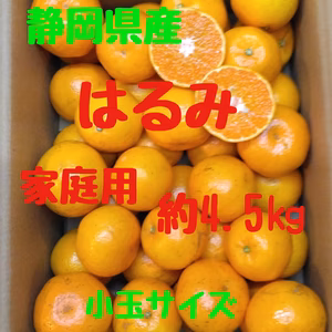 静岡県産　はるみ　家庭用　約4,5㎏　小玉サイズ