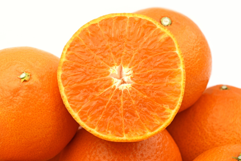 ２枚。ハート♥みかん❤暖か☆Wボア♥特大ブランケット♥flower猫。橙 楽天市場】ブランケット ひざ掛け かわいい 厚手 大判 おしゃれ