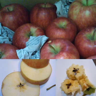 みんなの投稿の画像