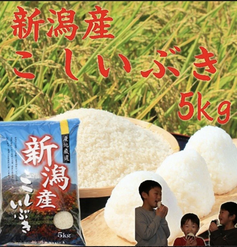 [新米]   新潟県産　こしいぶき5kg    (白米)    令和5年産