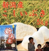 新潟県産　こしいぶき5キロ〜30キロ (白米)    令和6年産