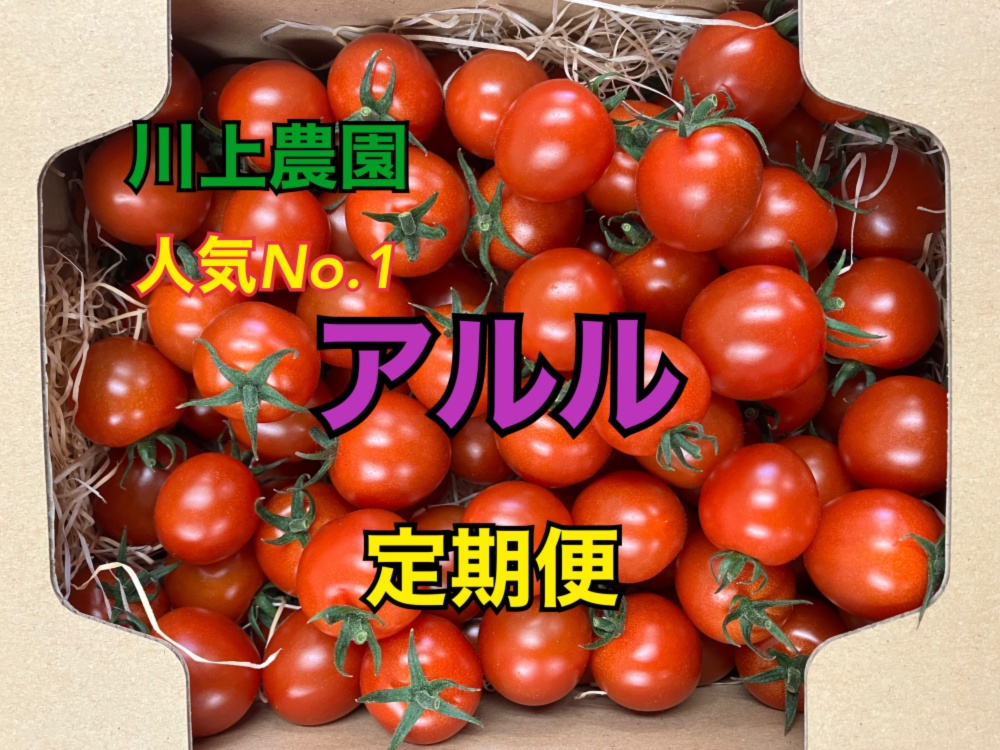 けろけろりん様専用、干しいも、紅はるか丸干し1箱 - その他