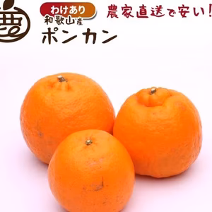 ポンカン（ご自宅用）
