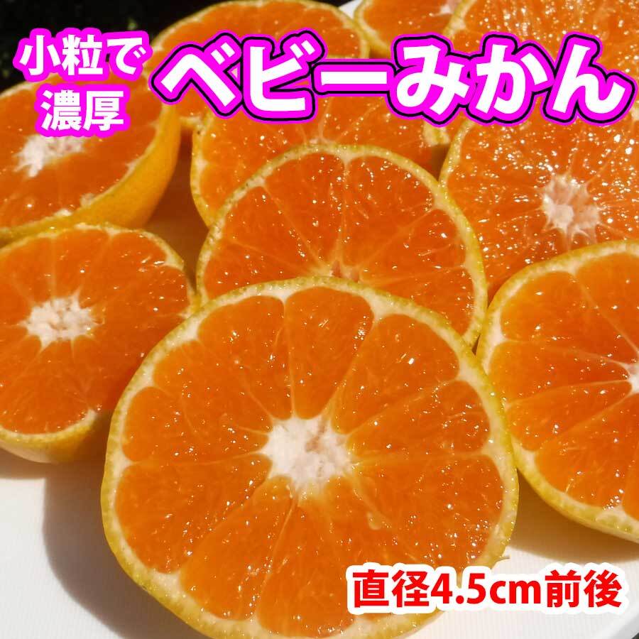 小粒っこ‼️ベビーみかん　家庭用 小粒っこ‼️ベビーみかん 家庭用 みかん 温州みかん 約4.5kg 家庭用