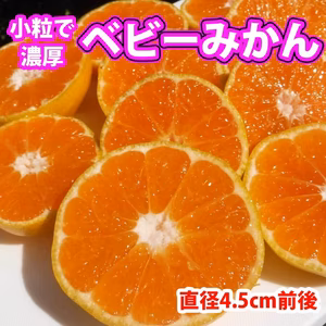 【5セット限定再販売！！】ベビーみかん小粒直径4.5cm前後！訳あり