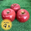 【贈答用】りんご（サンふじ）9玉箱入