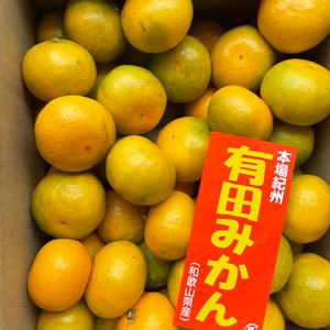 和歌山県産有田みかん ちびたま3Sサイズ(約5kg)