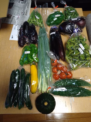 みんなの投稿の画像