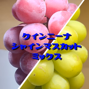 朝採り発送【家庭用】 長野県産 シャインマスカット＆クインニーナ混合約2Kg