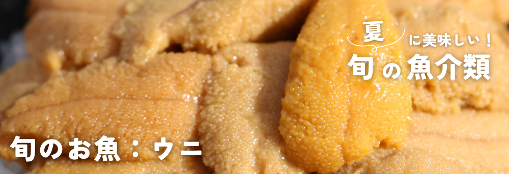 夏に旬の魚介類 ウニ