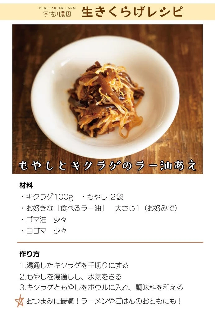 福岡県産！肉厚！ぷりぷり！生キクラゲ500g