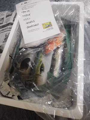 みんなの投稿の画像