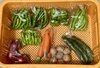 肥料・農薬不使用 季節の野菜おまかせセット