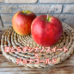 [甘酸っぱい詰め合わせ] 木村農園　謹製　葉とらずシナノスイート×ジョナゴールド