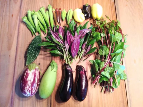 【クール便　Ｓsize】自然農法、自然栽培の旬の野菜詰め合わせセット