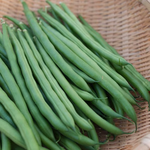 送料一律190円 ほんのり甘い!? 無選別 ハウスインゲン 約380g 調理簡単