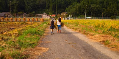 手仕事で 地球に寄り添う 稲刈り