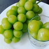 朝採りぶどう　３種セット