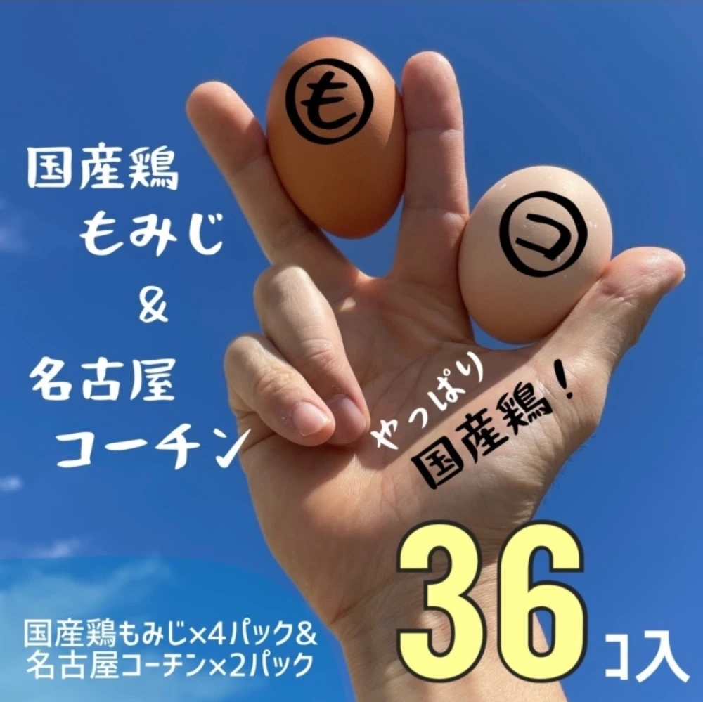 やっぱり国産鶏×36個【国産鶏もみじ×24個＆名古屋コーチン×12個】
