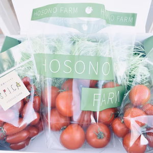 ちょこっと食べ比べセット♪