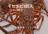 【母の日ギフト】朝獲れイセエビ3匹入り（約1kg）五島漁師直送