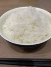 R5年産　あきたこまち  白米　約10kg 