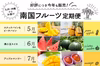 好評につき今年も販売！「南国フルーツ定期便」九州・沖縄からお届け
