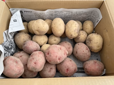 みんなの投稿の画像