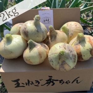 【農薬不使用】今が旬✨酵素新玉ねぎ(2〜5kg)