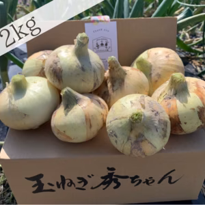 【農薬不使用】今が旬✨酵素新玉ねぎ(2〜5kg)
