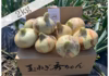 【農薬不使用】今が旬✨酵素新玉ねぎ(2〜5kg)
