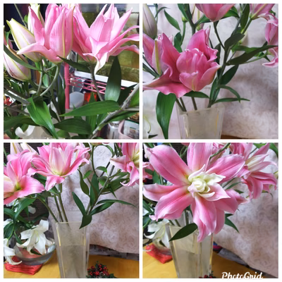 みんなの投稿の画像