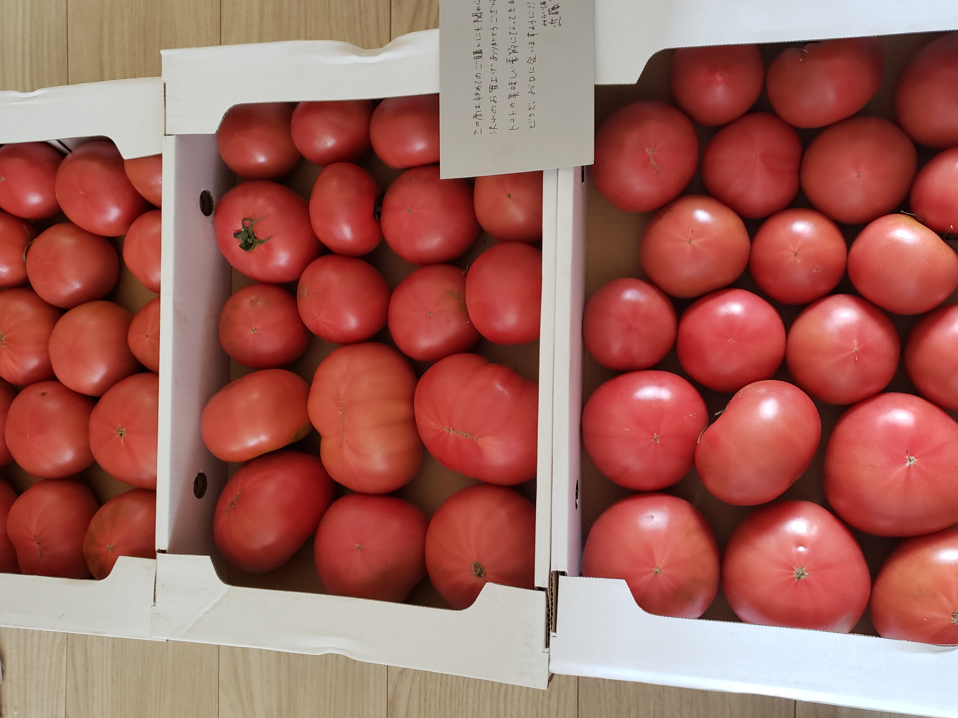 長崎県南島原市｜みらい有限会社｜近藤裕子さんのみんなの投稿